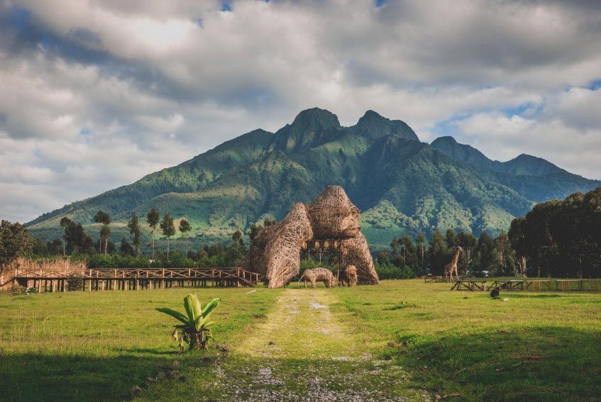 Volcanoes National Park, Musanze, Northern Province, Rwanda